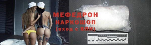 индика Нижний Тагил