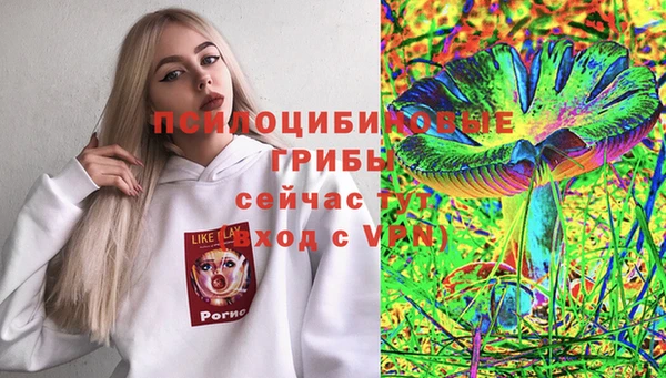 СК Куйбышев