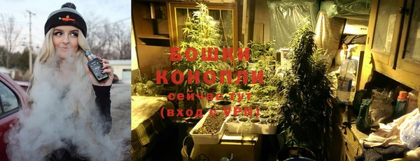 гидропоника Кукмор