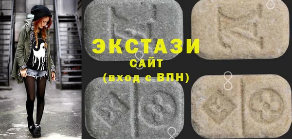 индика Нижний Тагил