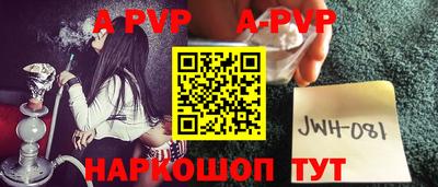 СК Новодвинск
