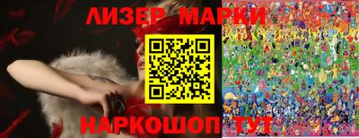 СК Новодвинск