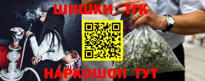СК Новодвинск