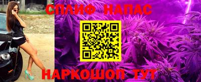 прущие грибы Новокубанск