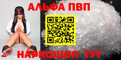 СК Новодвинск