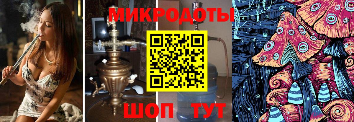 Галлюциногенные грибы Psilocybe Южноуральск