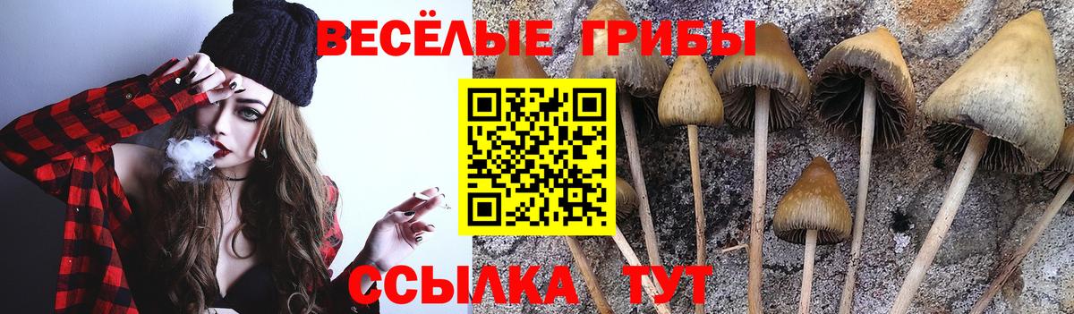 Галлюциногенные грибы Cubensis  Галлюциногенные грибы мицелий  Вход с VPN  Южноуральск 